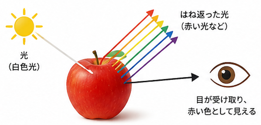 概念図:跳ね返った光を目で受け取っている図