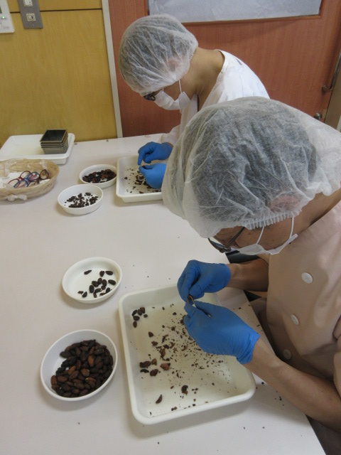 写真：障害者スタッフのチョコレート製造場面